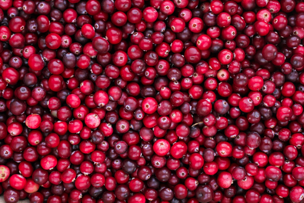 A close-up photo of cranberries